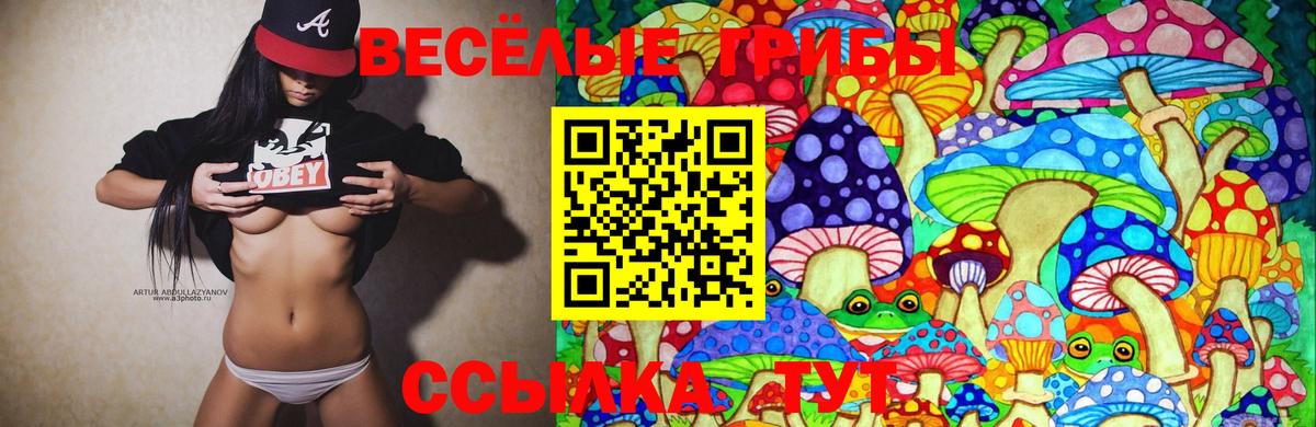 Псилоцибиновые грибы мухоморы  Псилоцибиновые грибы прущие грибы  Вход с VPN  Бузулук 